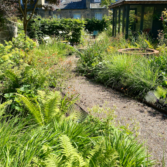 Edinburgh garden with summerhouse and wildlife friendly planting