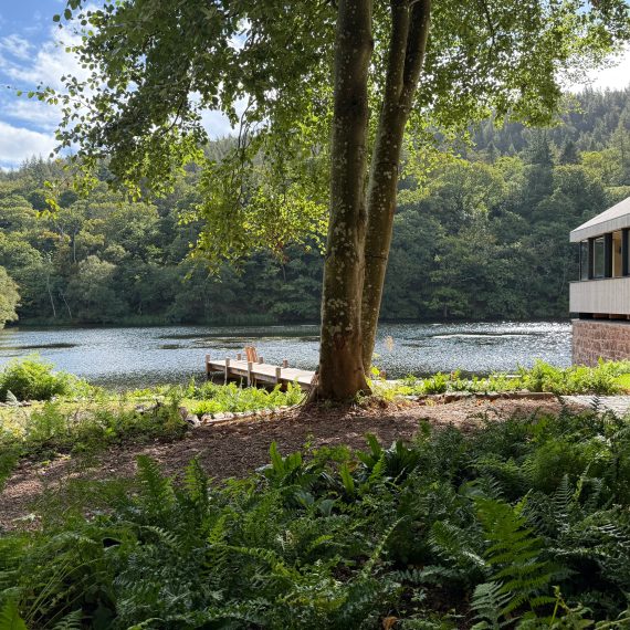 Woodland planting in foreground with Scottish larch jetty