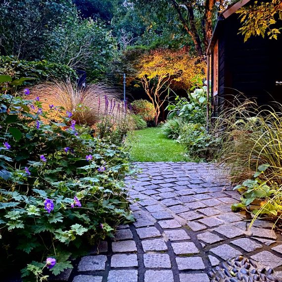 Sauna stained black shrinks its appearance