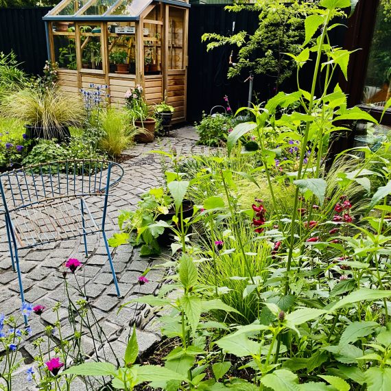 The greenhouse, before its sauna reincarnation