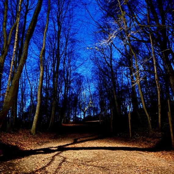 Moon lights on track