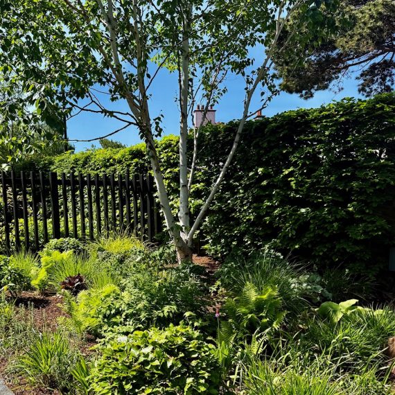 Front garden planting