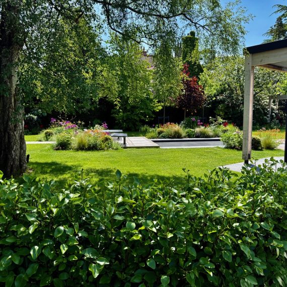 Garden view of outdoor swimming pool